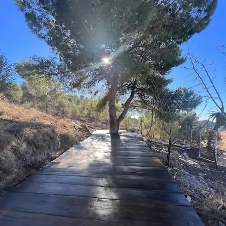 The Retreat House, Close To Alicante And Its Beaches *